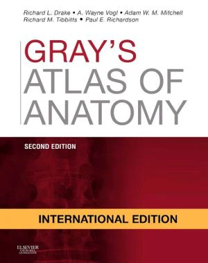 Gray's Atlas of Anatomy (IE), 2e** - Image 57