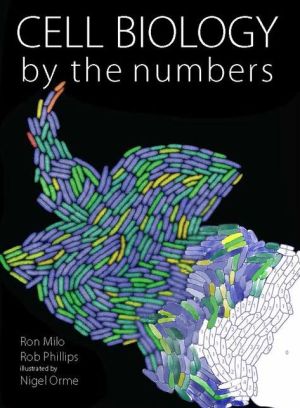 Cell Biology by the Numbers - Image 3