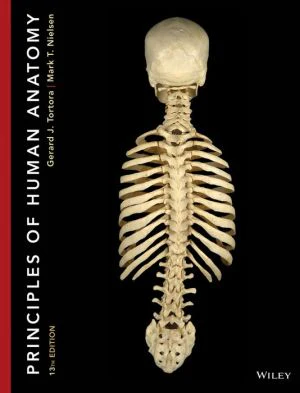 Principles of Human Anatomy, 13e ** - Image 54
