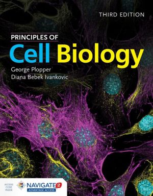 Principles Of Cell Biology, 3e - Image 28