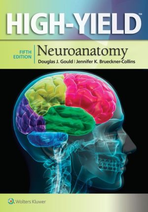 High-Yield(TM) Neuroanatomy, 5e - Image 34